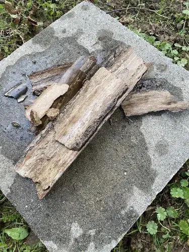 Photo de plusieurs plaques de calcaire retirées d'une canalisation par hydrocurage : curage à haute pression à travers une buse spéciale